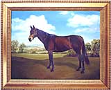 Bay Thoroughbred