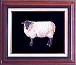 Black Faced Sheep