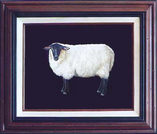 Black Faced Sheep