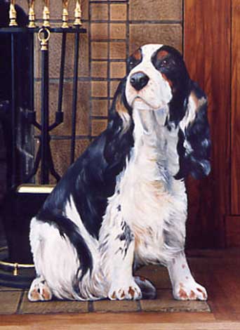 Springer Spaniel Silent Companion